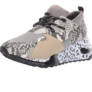 Steve Madden Sneakers